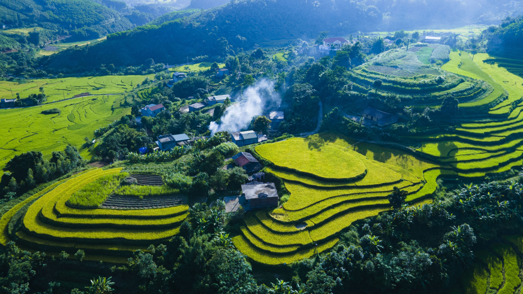 Kế hoạch tuần 22, thực hiện từ ngày 26/01 - 01/02/2026