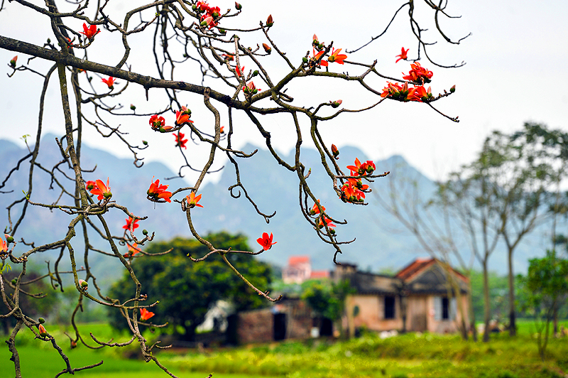 Kế hoạch tuần 26, thực hiện từ ngày 09/03 - 15/03/2026