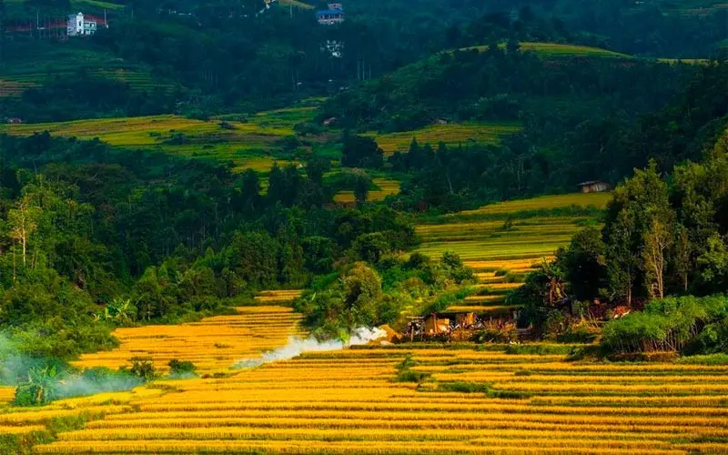 Kế hoạch tuần 21, thực hiện từ ngày 19/01 - 25/01/2025