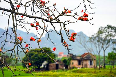 Kế hoạch tuần 26, thực hiện từ ngày 09/03 - 15/03/2026