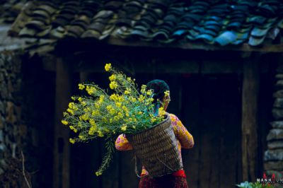 Kế hoạch tuần 23, thực hiện từ ngày 02/02 - 08/02/2026